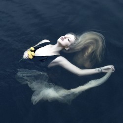 SYLVAINE - Silent Chamber, Noisy Heart - DIGI CD