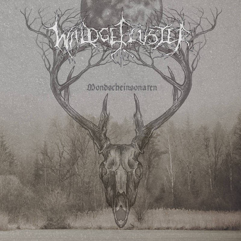 WALDGEFLÜSTER - Mondscheinsonaten - CD