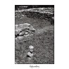TÈLMA - Man-Eater - CD