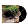 SANATORIUM - Arrival Of The Forgotten Ones - 25 Years Later - LP