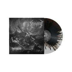 DISENTOMB - Nothing Above - SPLATTER 10"LP