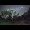 ESBEN AND THE WITCH - Olden Terrors - DIGI CD