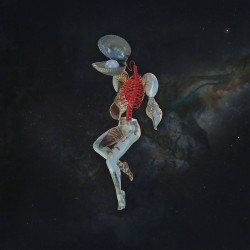 HAIL SPIRIT NOIR - Fossil Gardens - CD
