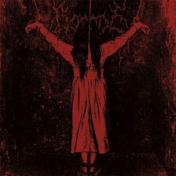BORGNE - Y - DIGI CD