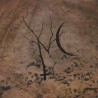 NETTLECARRIER - Nettlecarrier - DIGI CD