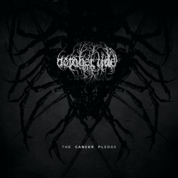 OCTOBER TIDE - The Cancer Pledge - ICE GALAXY GRAY LP