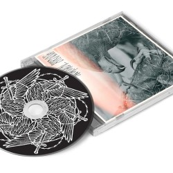 AUTHOR & PUNISHER - Nocturnal Birding - CD