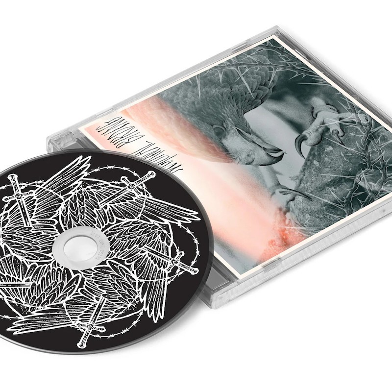AUTHOR & PUNISHER - Nocturnal Birding - CD