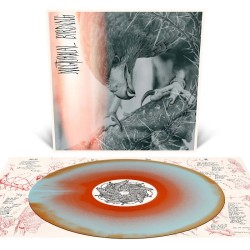 AUTHOR & PUNISHER - Nocturnal Birding - ORANGE KRUSH & BABY BLUE MERGE LP