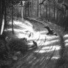 BURZUM - Hvis Lyset Tar Oss - LP